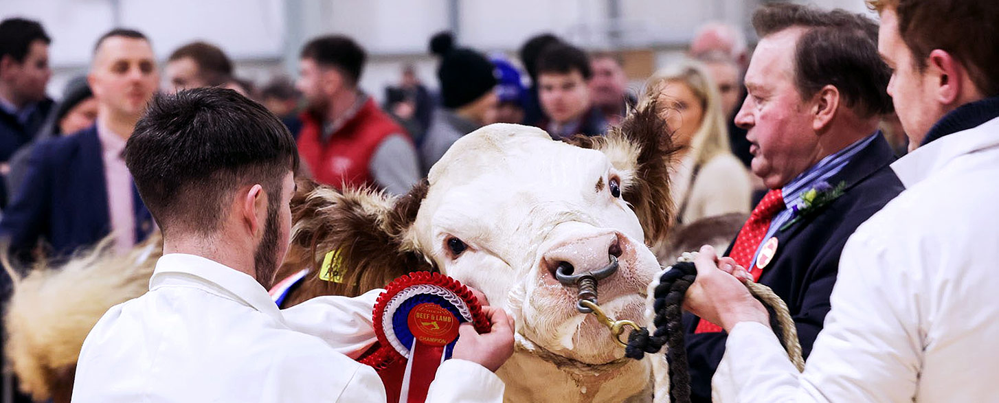 royal ulster agricultural society partnership